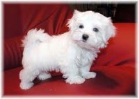 /album/klbka/images-3-jpg/